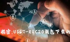 专家独家揭密：USDT-ERC20钱