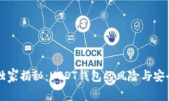 专家独家揭秘：USDT钱包的