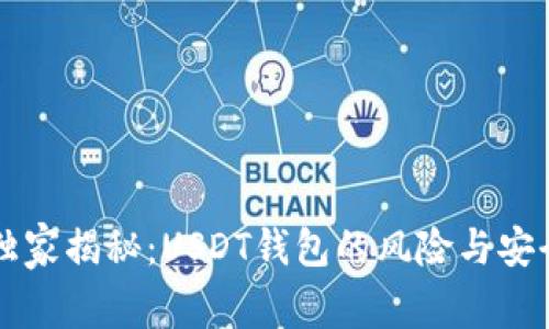 专家独家揭秘：USDT钱包的风险与安全秘诀