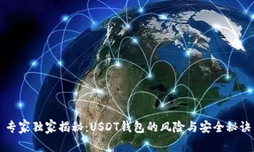 专家独家揭秘：USDT钱包的风险与安全秘诀