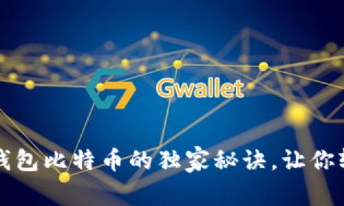 专家揭秘：普拉斯钱包比特币的独家秘诀，让你轻松畅游加密世界！