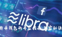 Linux下比特币钱包的专家指