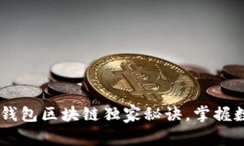 专家揭秘：Wombat钱包区块链独家秘诀，掌握数字资产管理的未来