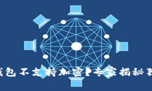 比特币钱包不支持加密？专家揭秘独家秘诀！