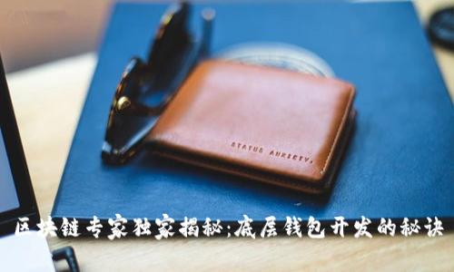 区块链专家独家揭秘：底层钱包开发的秘诀