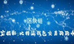 专家独家揭秘：比特派钱
