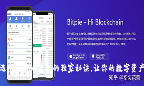 专家揭秘：选对比特币钱包的独家秘诀，让你的数字资产更加安全！