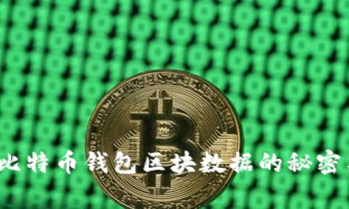 独家揭秘：比特币钱包区块数据的秘密与专家分析