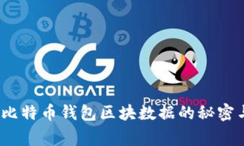 独家揭秘：比特币钱包区块数据的秘密与专家分析