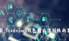 专家解析：Tokenim 钱包转出没到账的独家秘诀