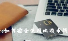 专家独家揭秘：如何安全使用比特币钱包账号的
