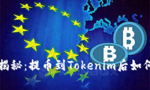 专家独家揭秘：提币到Tokenim后如何轻松提现