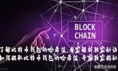 了解比特币钱包的哈希值：专家解析独家秘诀如