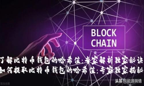 了解比特币钱包的哈希值：专家解析独家秘诀
如何提取比特币钱包的哈希值：专家独家揭秘！